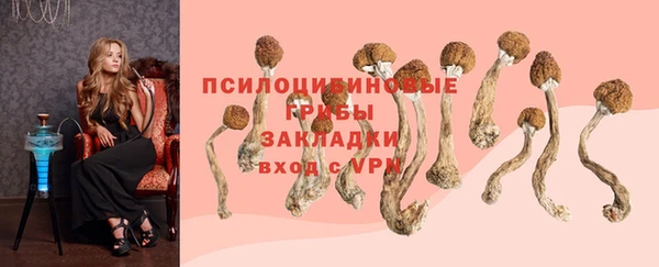 МДМА Арсеньев