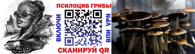 Псилоцибиновые грибы прущие грибы  Новый Оскол 